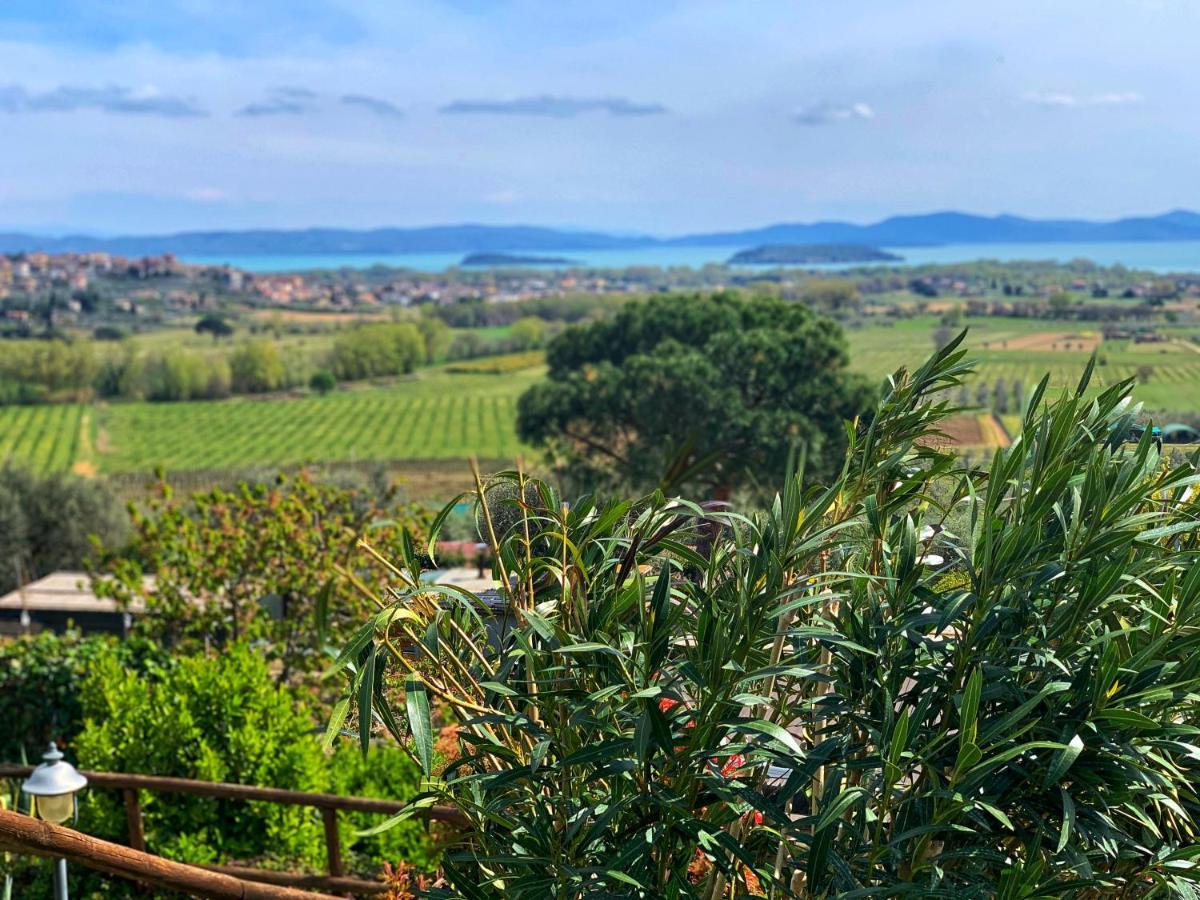 Agriturismo Annibale Tuoro sul Trasimeno Luaran gambar