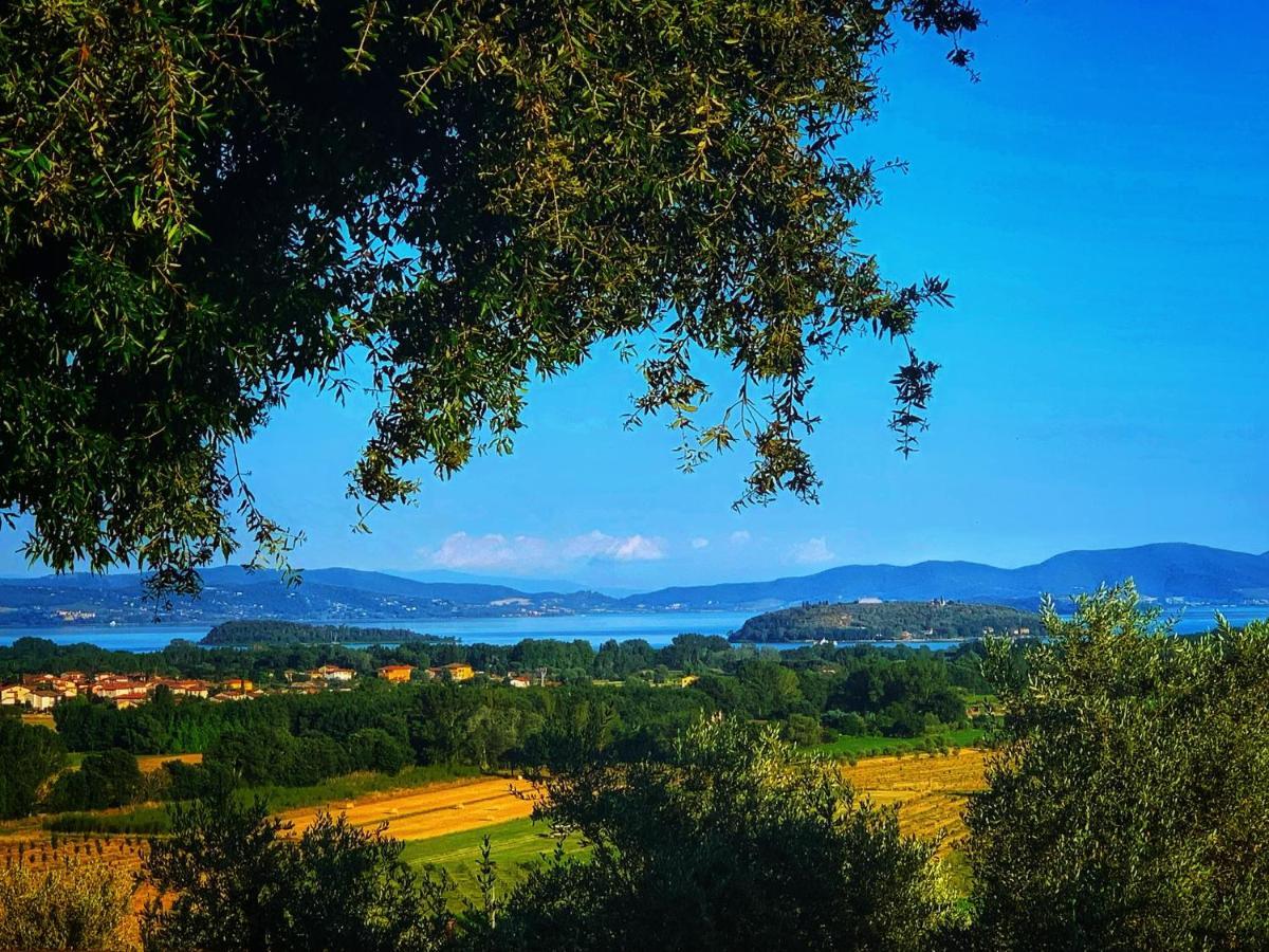 Agriturismo Annibale Tuoro sul Trasimeno Luaran gambar