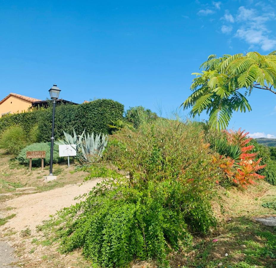 Agriturismo Annibale Tuoro sul Trasimeno Luaran gambar